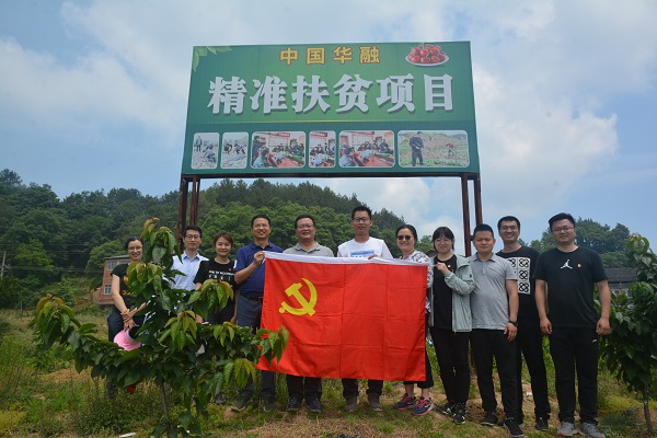 小小车厘子 带动大市场——中国华融驻村帮扶着力乡村振兴示范点建设